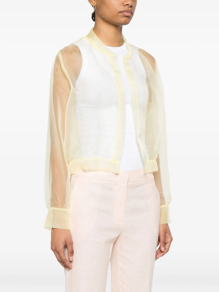 Blouse fluide transparente sans boutons
