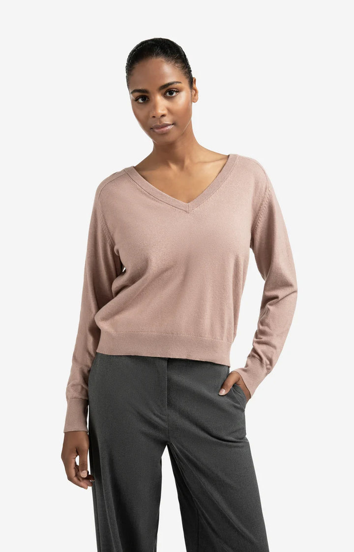 Pull avec boutons au dos et double col V